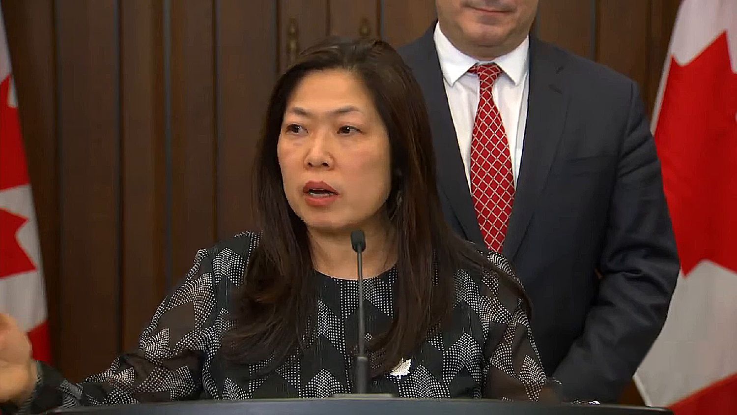 “捍卫加国民主，防止对整个华裔社区造成偏见歧视”