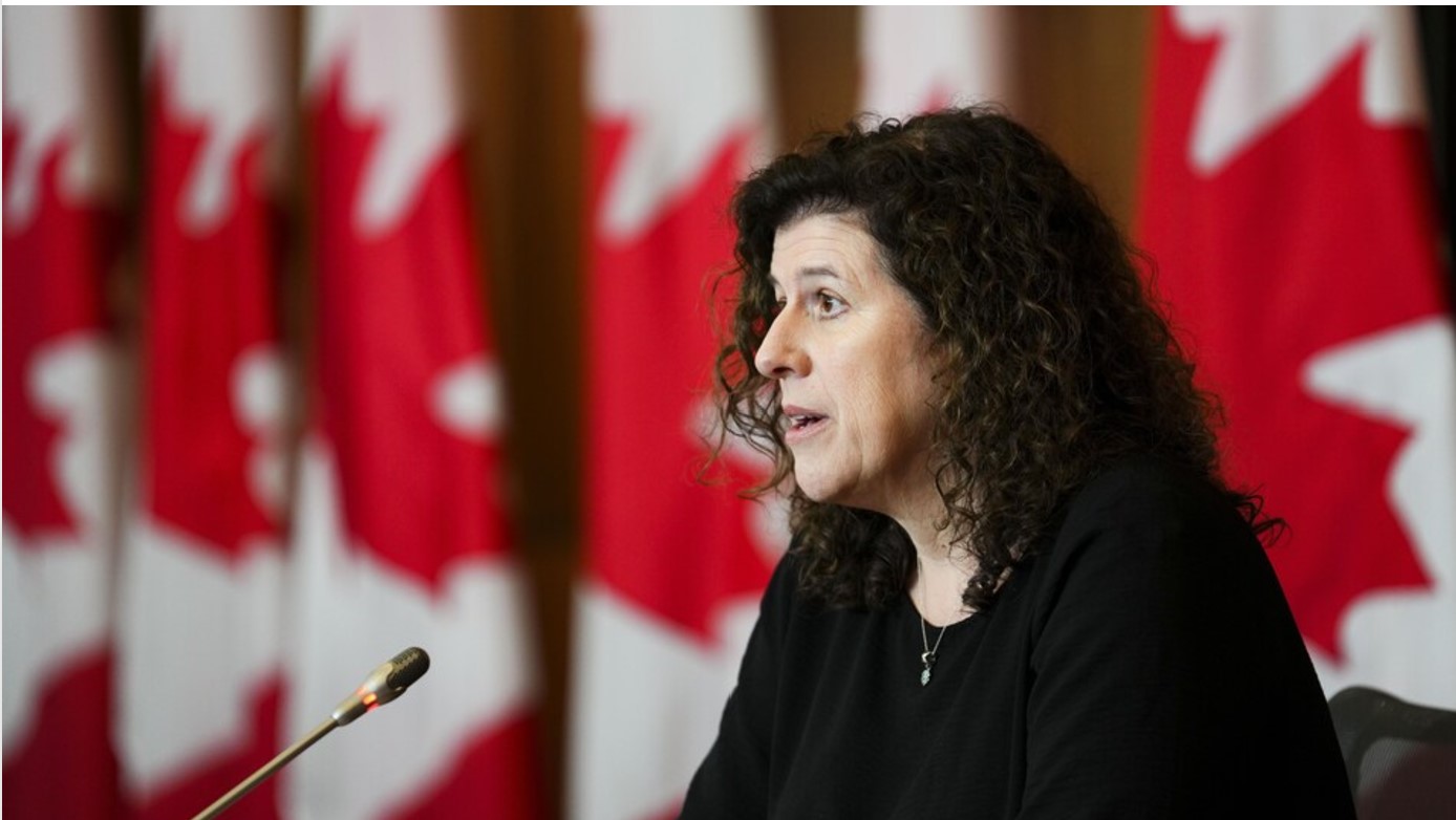 审计报告炮轰联邦部门