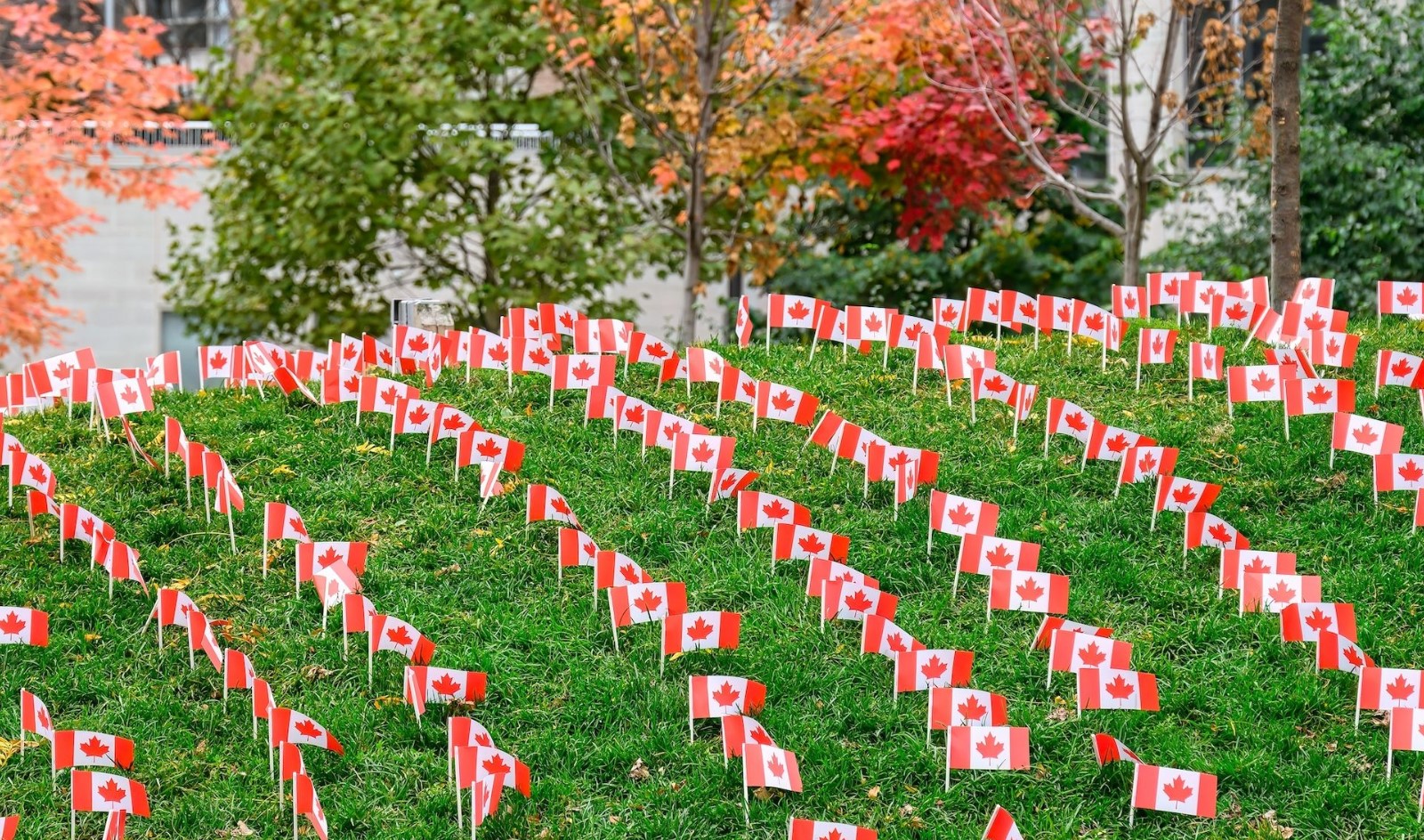 加拿大人的自豪感跌至几十年来的最低水平
