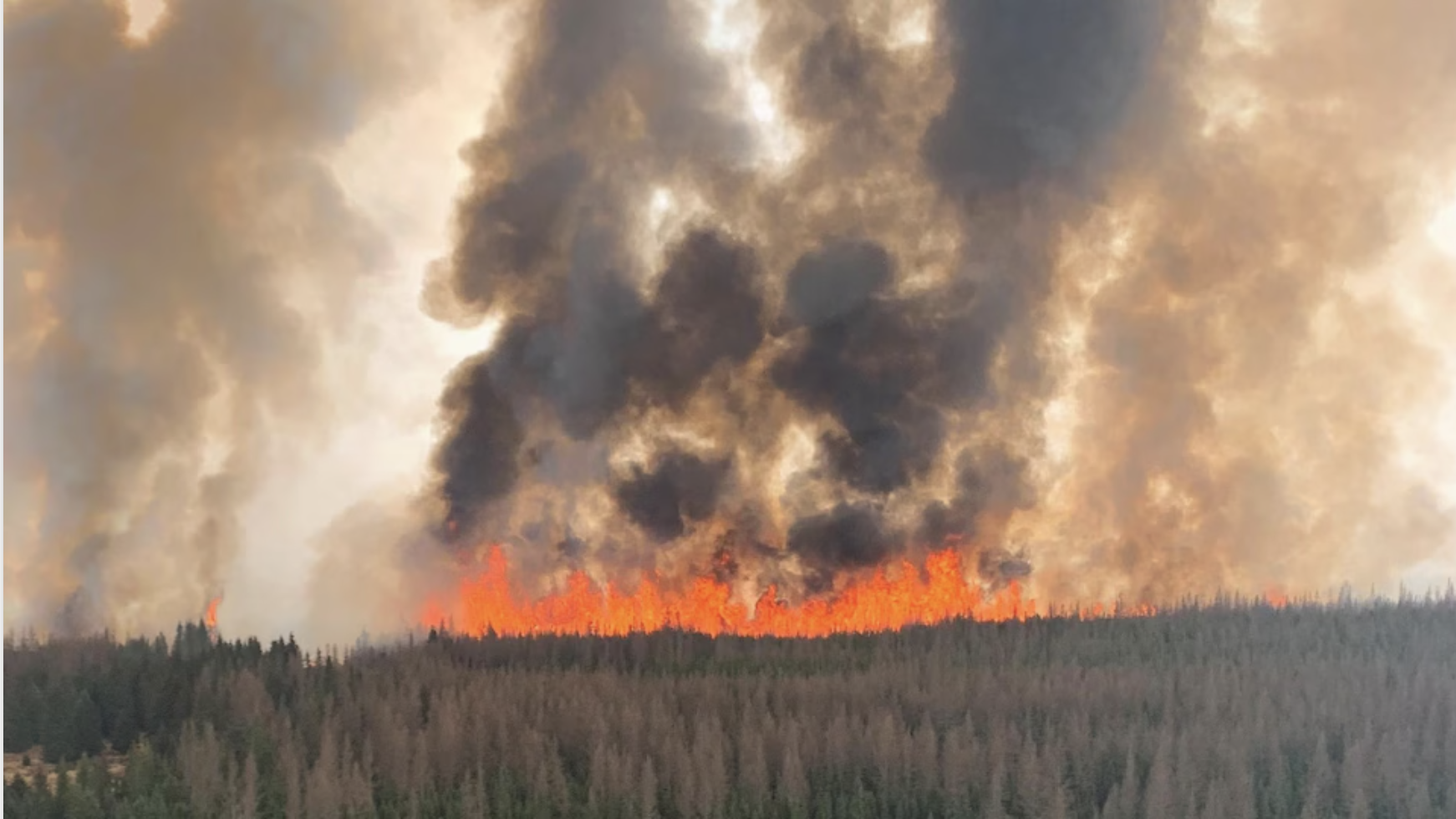 气候灾害导致数十亿的保险损失，会引发金融危机吗？