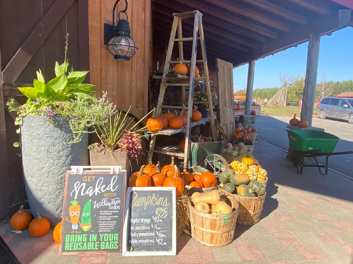 探索佩里港:秋日农场集市之旅