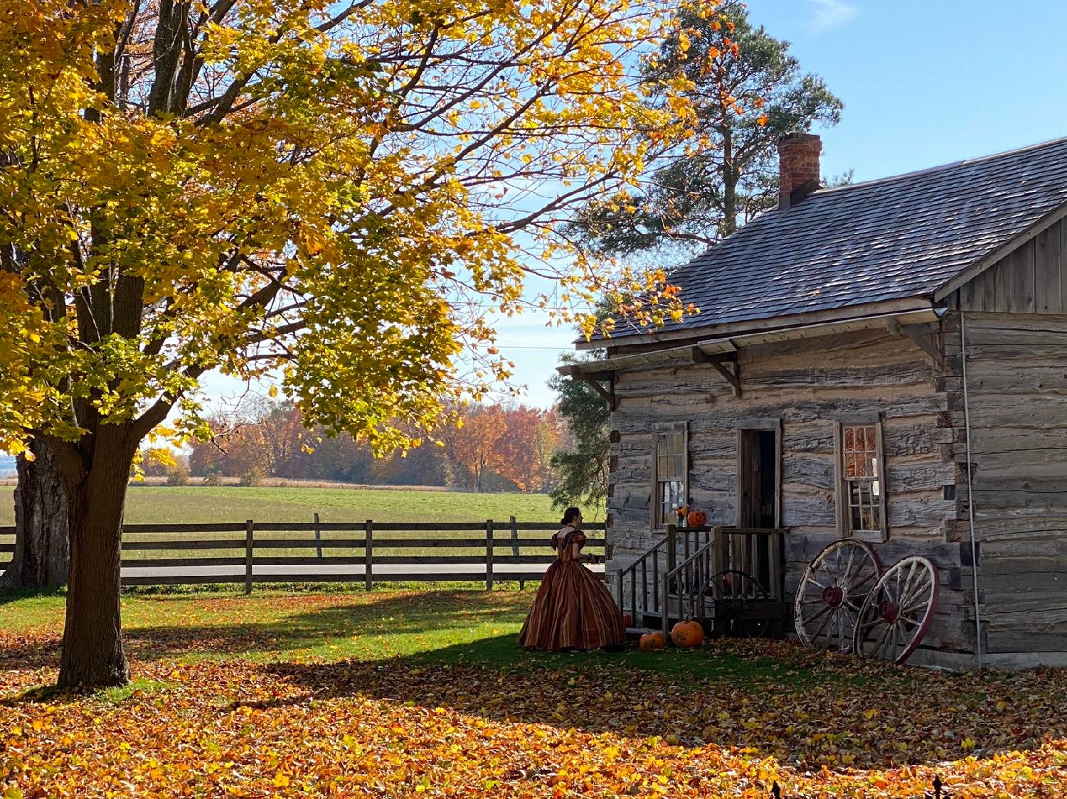 探索斯库格海岸博物馆的历史魅力