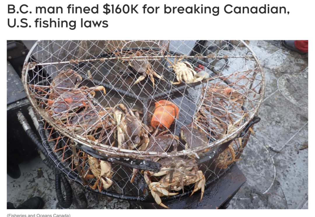 夏天在海滩边随便捞螃蟹小心罚款$1000