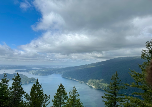 加西 | 大温这个最小的社区可能迎来巨变