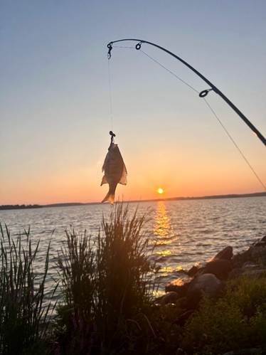 狼鱼湾:在米湖的碧波中,聆听自然的低语 | ——记华文媒体协会走进 狼鱼湾Muskie Bay 度假村