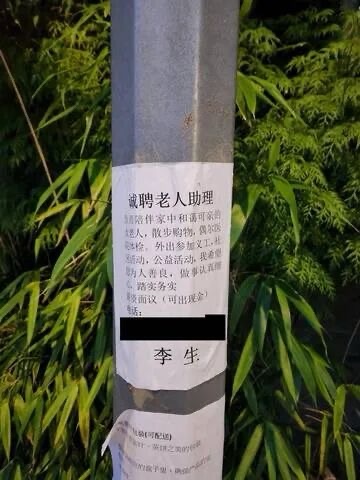 加西 ｜ 警方警告! 列治文街头遍布虚假中文招聘广告 已有人中招 千万别信!