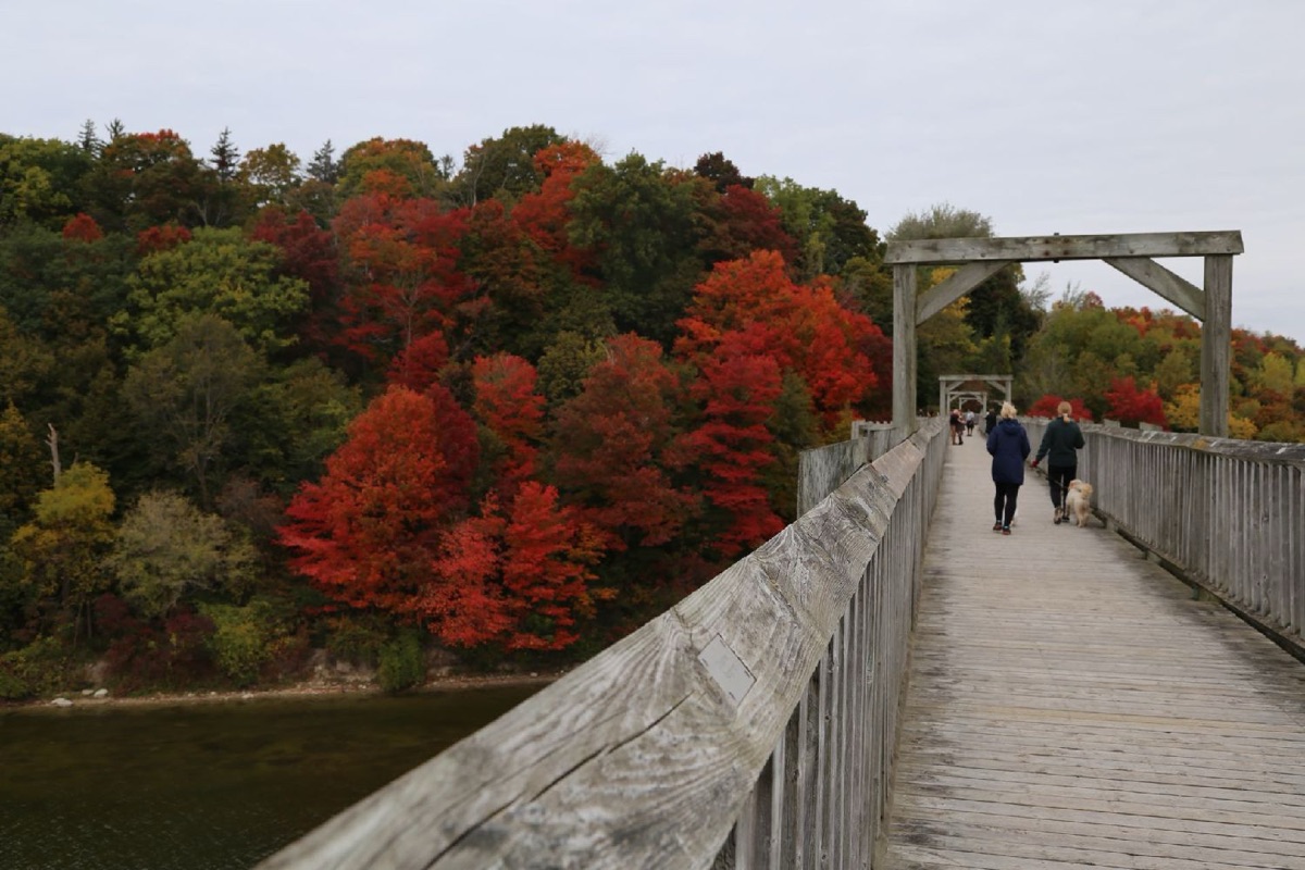 去戈德里奇踩踩爱丽丝门罗的脚印