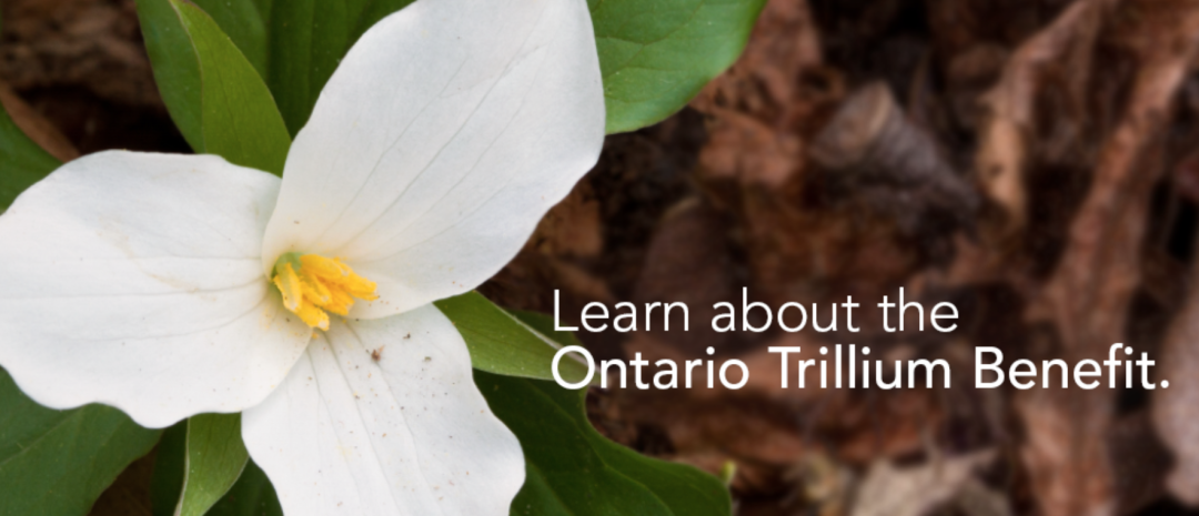 11月份安省居民限定福利下周到账！需符合这些申领资格