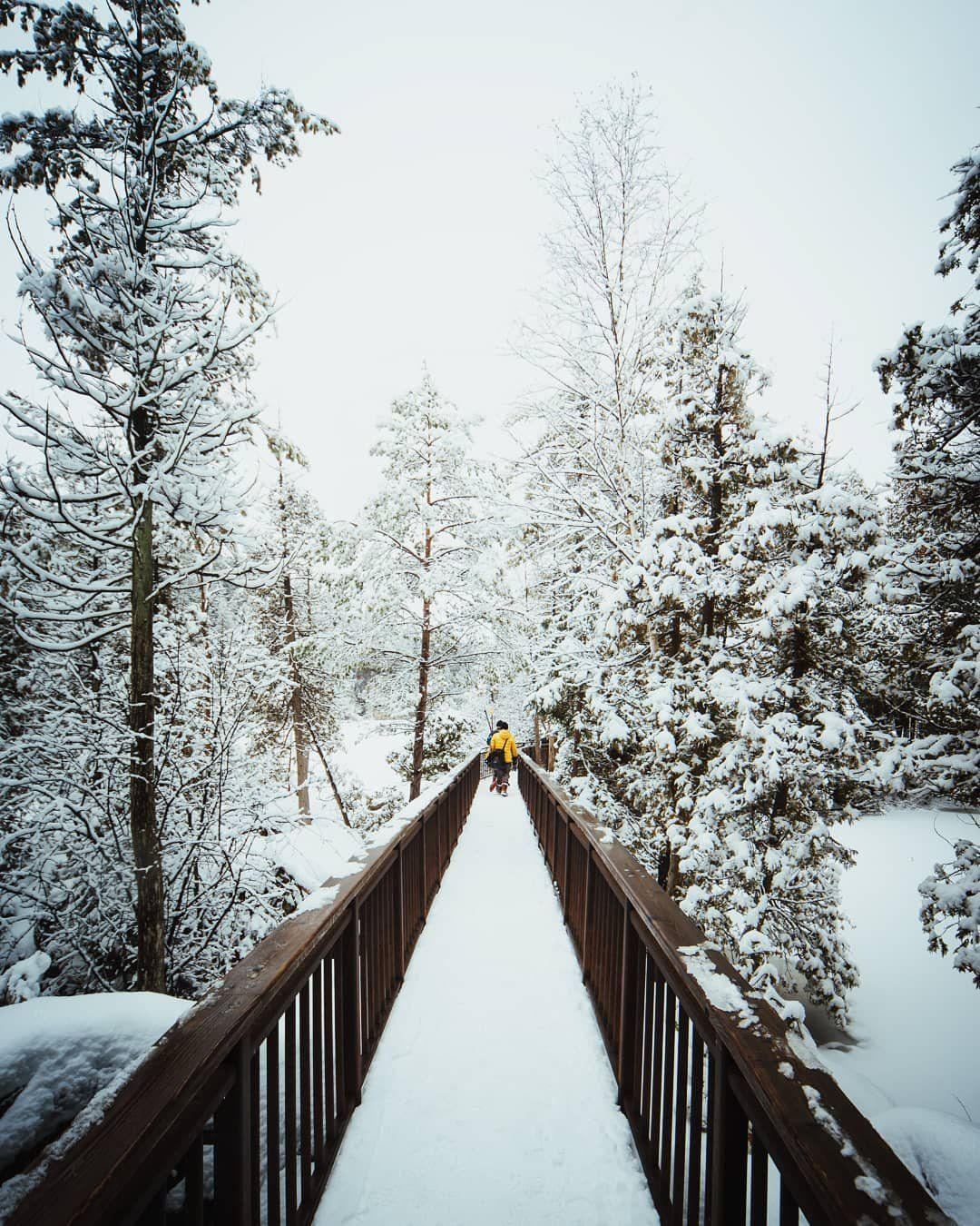 在这个安大略保护区探索冰川坑洼并徒步欣赏一览无余的景色