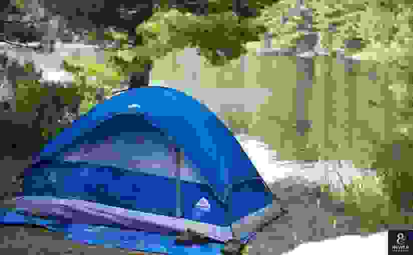 安省国家公园露营2月2日开放预定