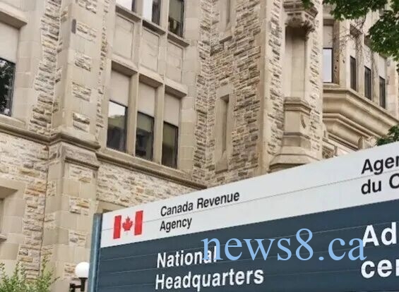 CRA今年重点审查这4大类!