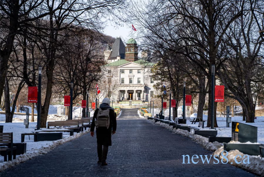 过去两年，赴加拿大留学的国际学生人数骤降74%。