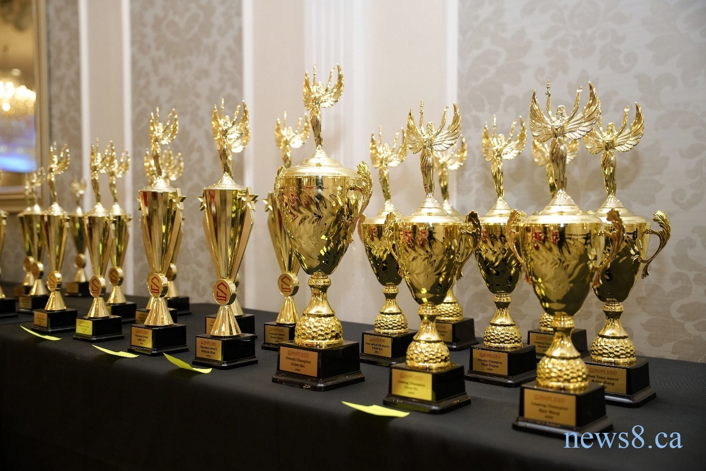 舒适置业举办2025年度颁奖盛典暨新年晚会,表彰行业卓越力量