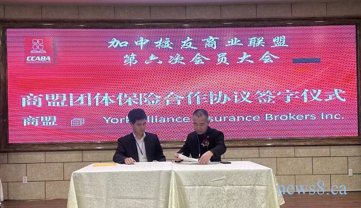 2026安省保险大变革来袭 CCABA携York Alliance解锁关键保障策略
